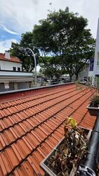 Pahang Street (D7), Retail #553543891